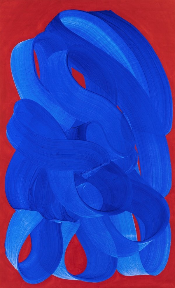 photo MEHADJI, Notre-Dame.